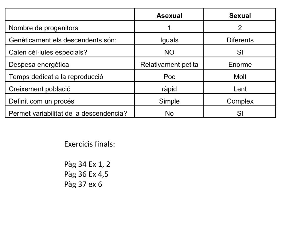 Exercicis finals: Pàg 34 Ex 1, 2 Pàg 36 Ex 4,5 Pàg 37 ex 6
