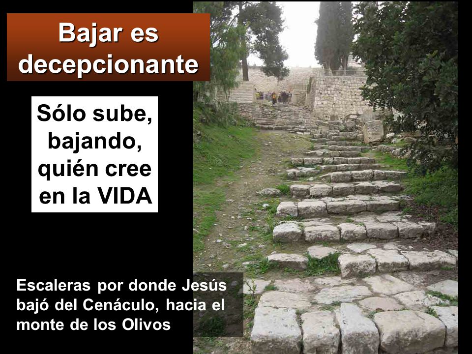 Bajar es decepcionante Sólo sube, bajando, quién cree en la VIDA
