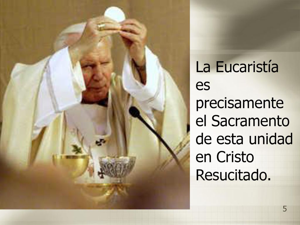 La Eucaristía es precisamente el Sacramento de esta unidad en Cristo Resucitado.