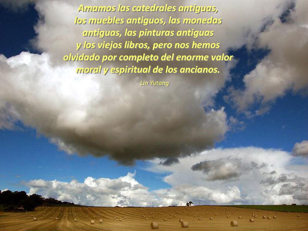 Amamos las catedrales antiguas, los muebles antiguos, las monedas antiguas, las pinturas antiguas