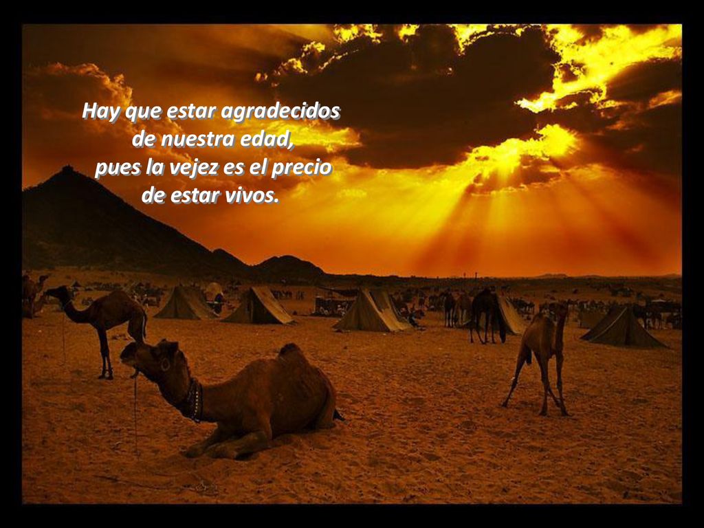 Hay que estar agradecidos pues la vejez es el precio de estar vivos.