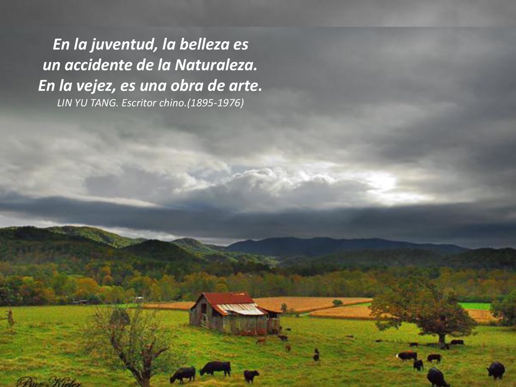 En la juventud, la belleza es un accidente de la Naturaleza.