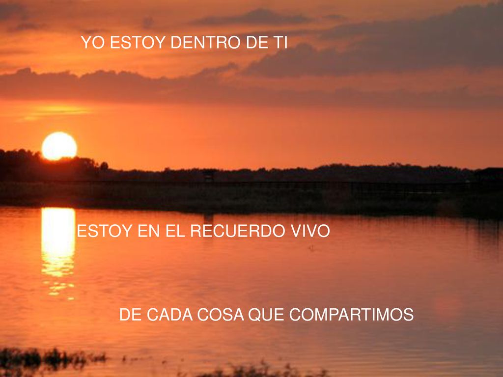 YO ESTOY DENTRO DE TI ESTOY EN EL RECUERDO VIVO DE CADA COSA QUE COMPARTIMOS