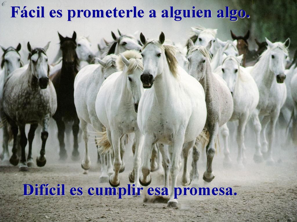 Fácil es prometerle a alguien algo. Difícil es cumplir esa promesa.