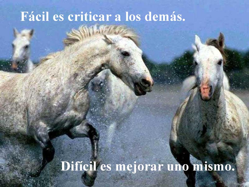 Fácil es criticar a los demás. Difícil es mejorar uno mismo.