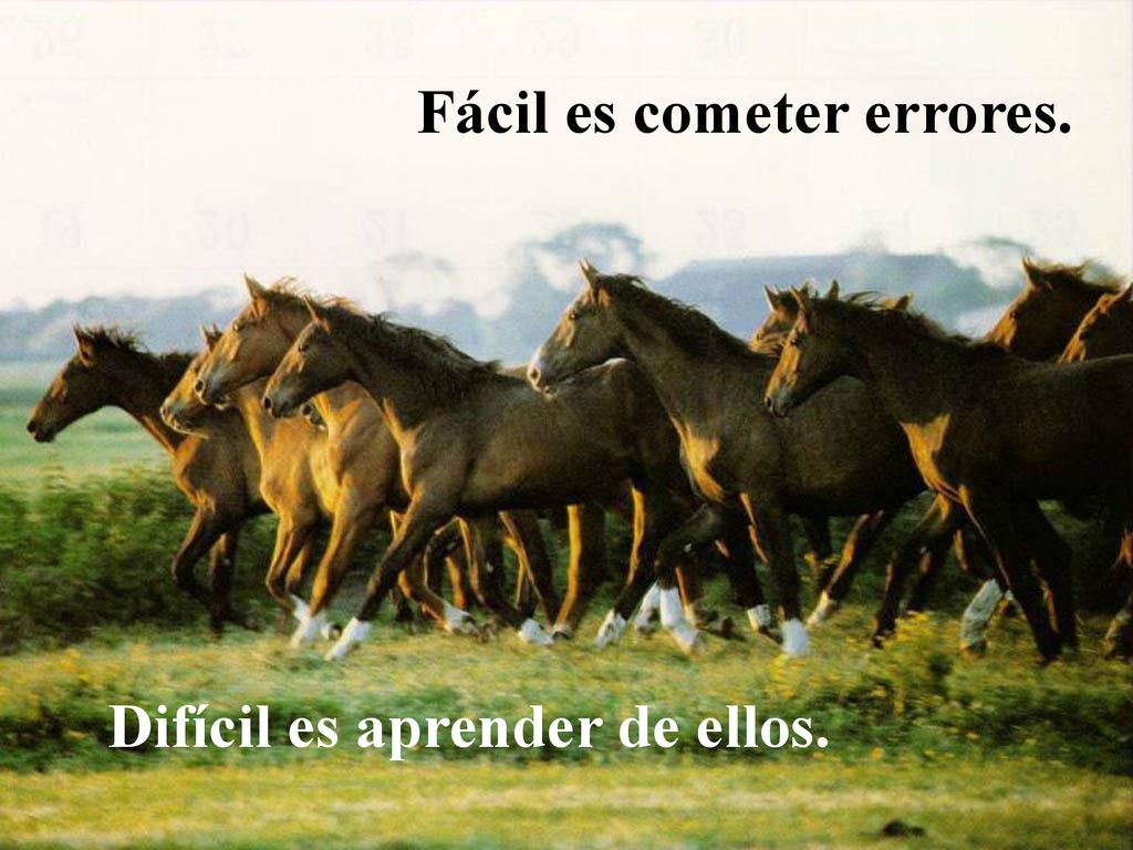 Fácil es cometer errores. Difícil es aprender de ellos.