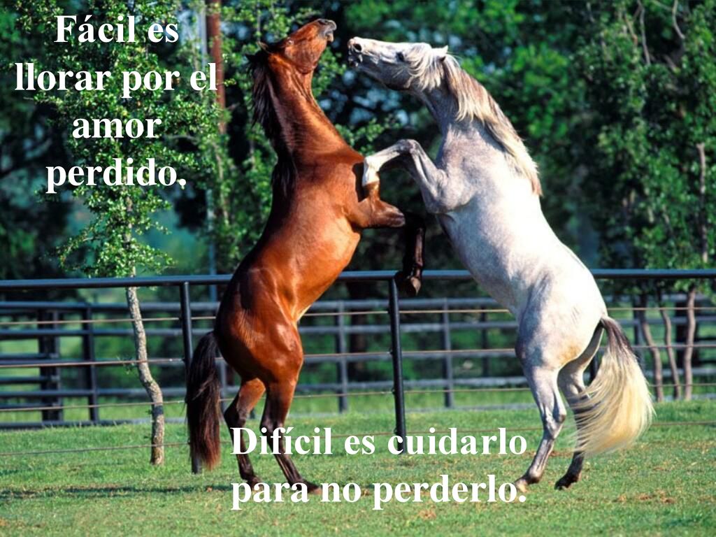 Fácil es llorar por el amor perdido.