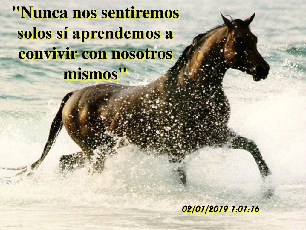 Nunca nos sentiremos solos sí aprendemos a convivir con nosotros mismos