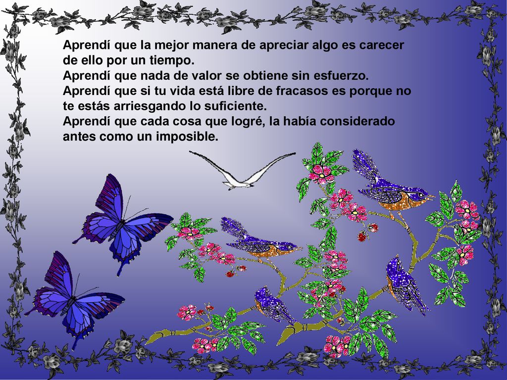 Aprendí que la mejor manera de apreciar algo es carecer de ello por un tiempo.