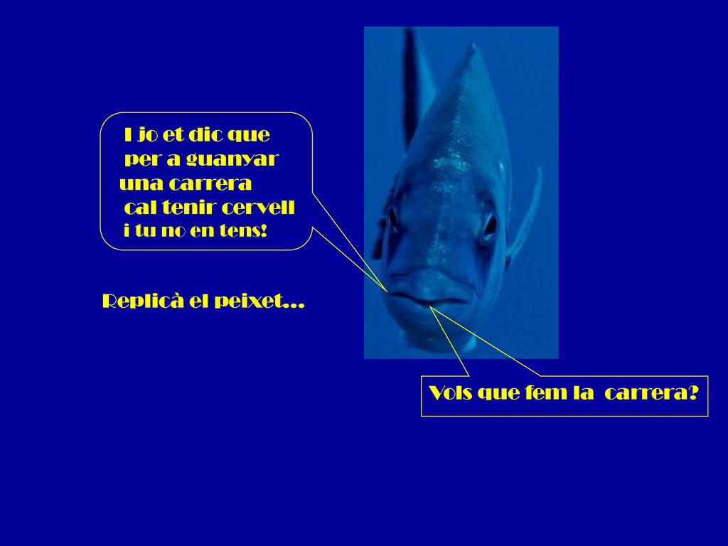 I jo et dic que per a guanyar una carrera cal tenir cervell