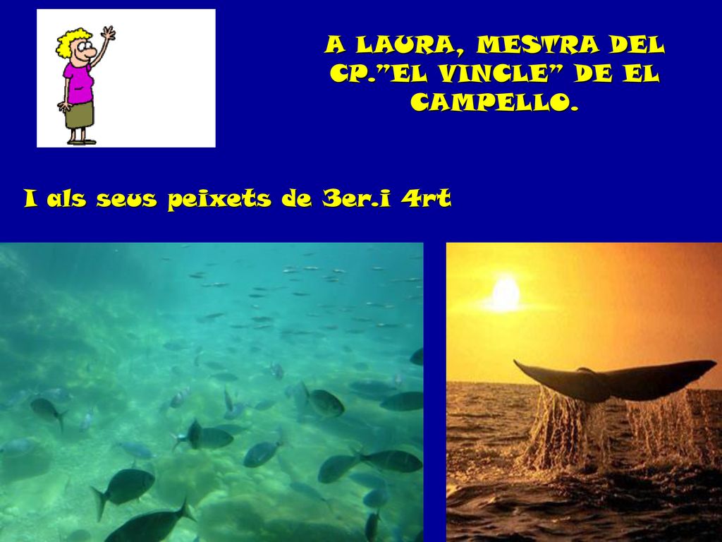 A LAURA, MESTRA DEL CP. EL VINCLE DE EL CAMPELLO.