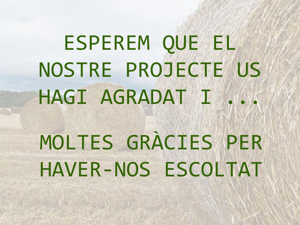 ESPEREM QUE EL NOSTRE PROJECTE US HAGI AGRADAT I ...