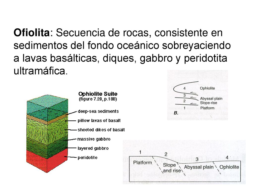 Ofiolita: Secuencia de rocas, consistente en sedimentos del fondo oceánico sobreyaciendo a lavas basálticas, diques, gabbro y peridotita ultramáfica.