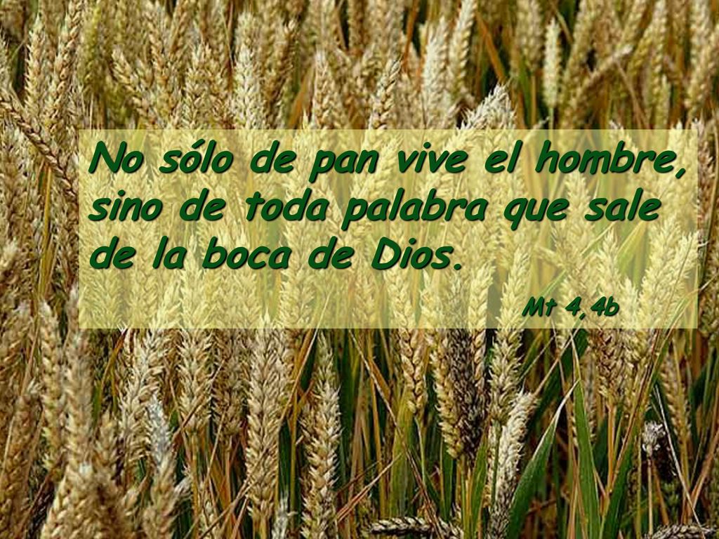 No sólo de pan vive el hombre, sino de toda palabra que sale de la boca de Dios.