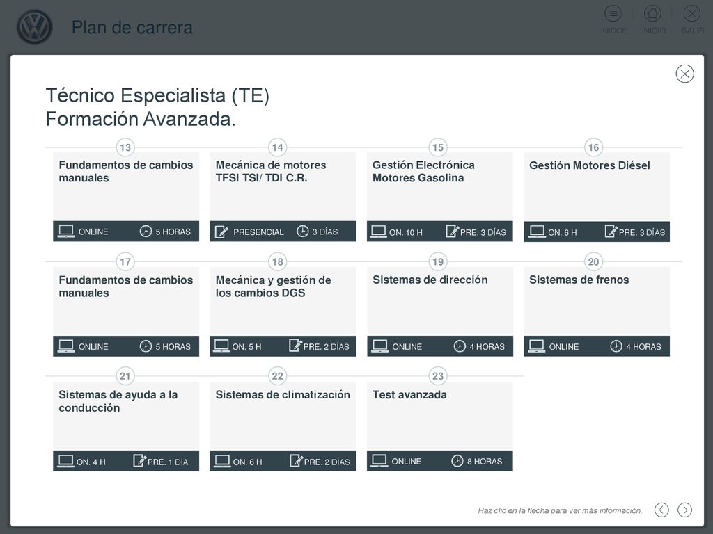 Técnico Especialista (TE) Formación Avanzada.