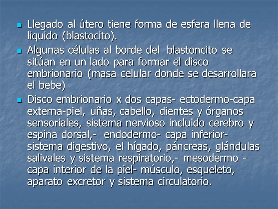Llegado al útero tiene forma de esfera llena de liquido (blastocito).