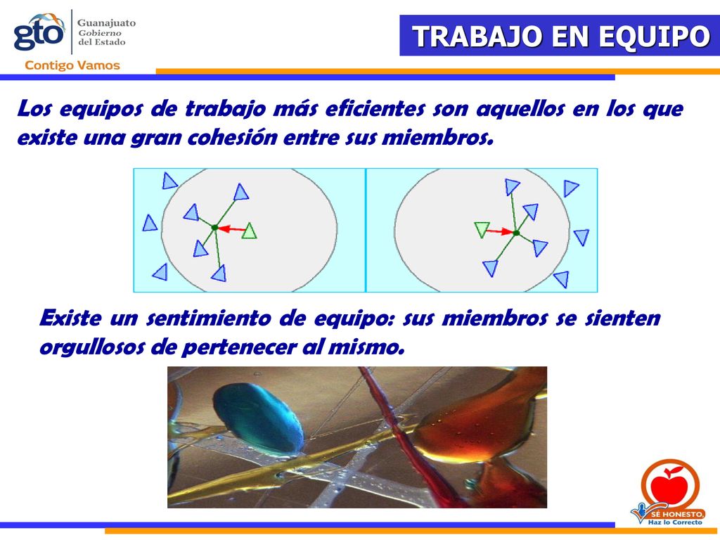 Los equipos de trabajo más eficientes son aquellos en los que existe una gran cohesión entre sus miembros.