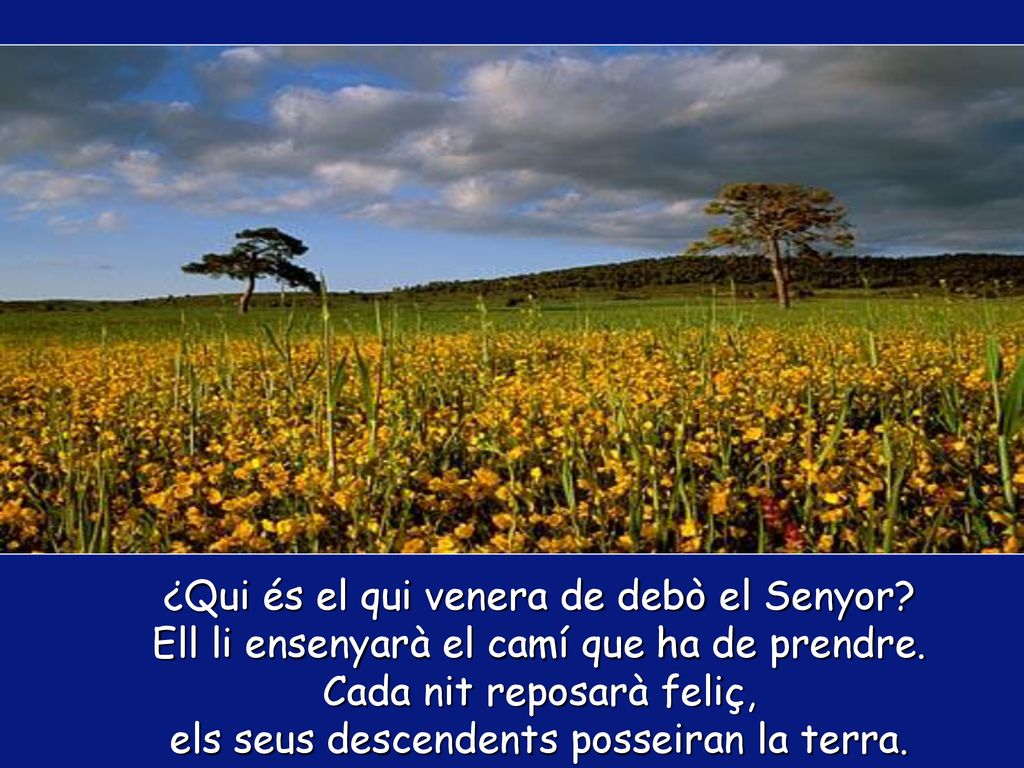 ¿Qui és el qui venera de debò el Senyor