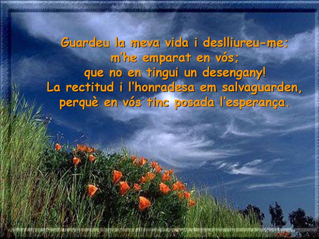 Guardeu la meva vida i deslliureu-me; m’he emparat en vós;