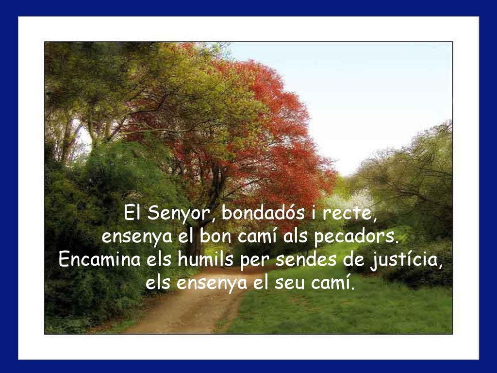 El Senyor, bondadós i recte, ensenya el bon camí als pecadors.