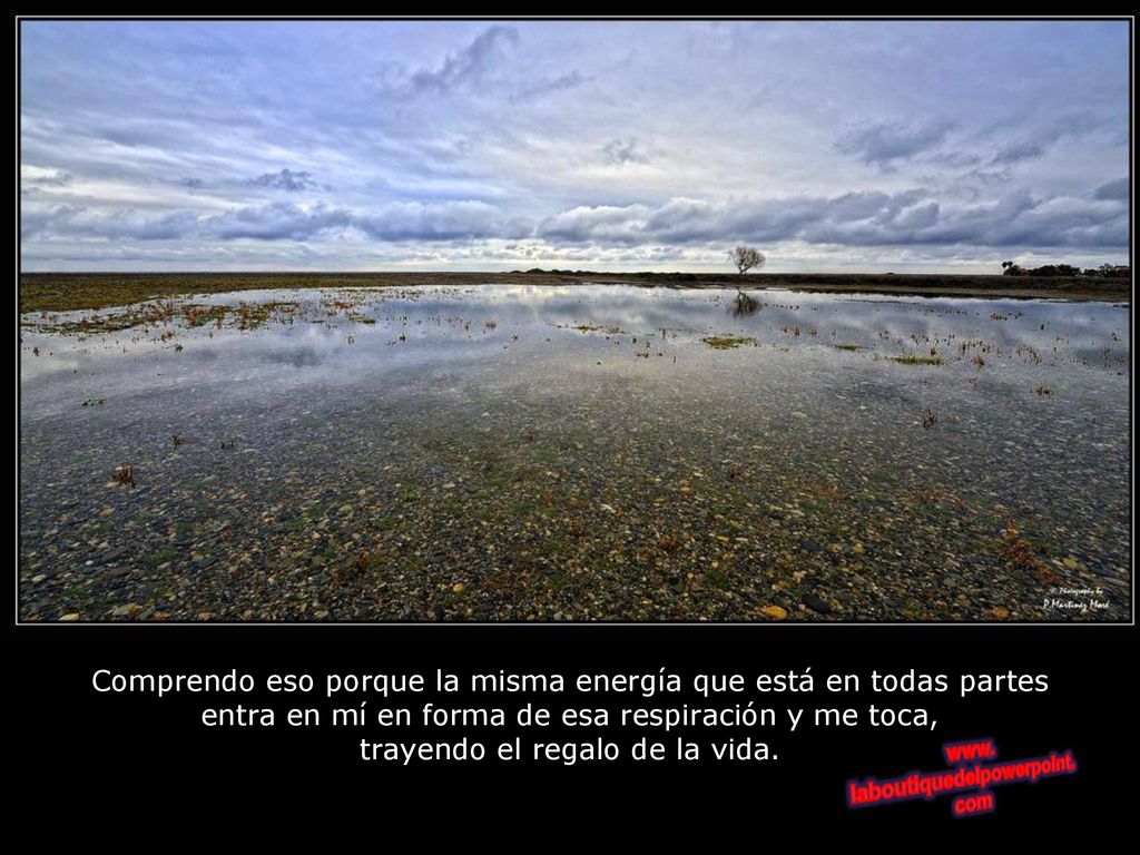 Comprendo eso porque la misma energía que está en todas partes entra en mí en forma de esa respiración y me toca, trayendo el regalo de la vida.