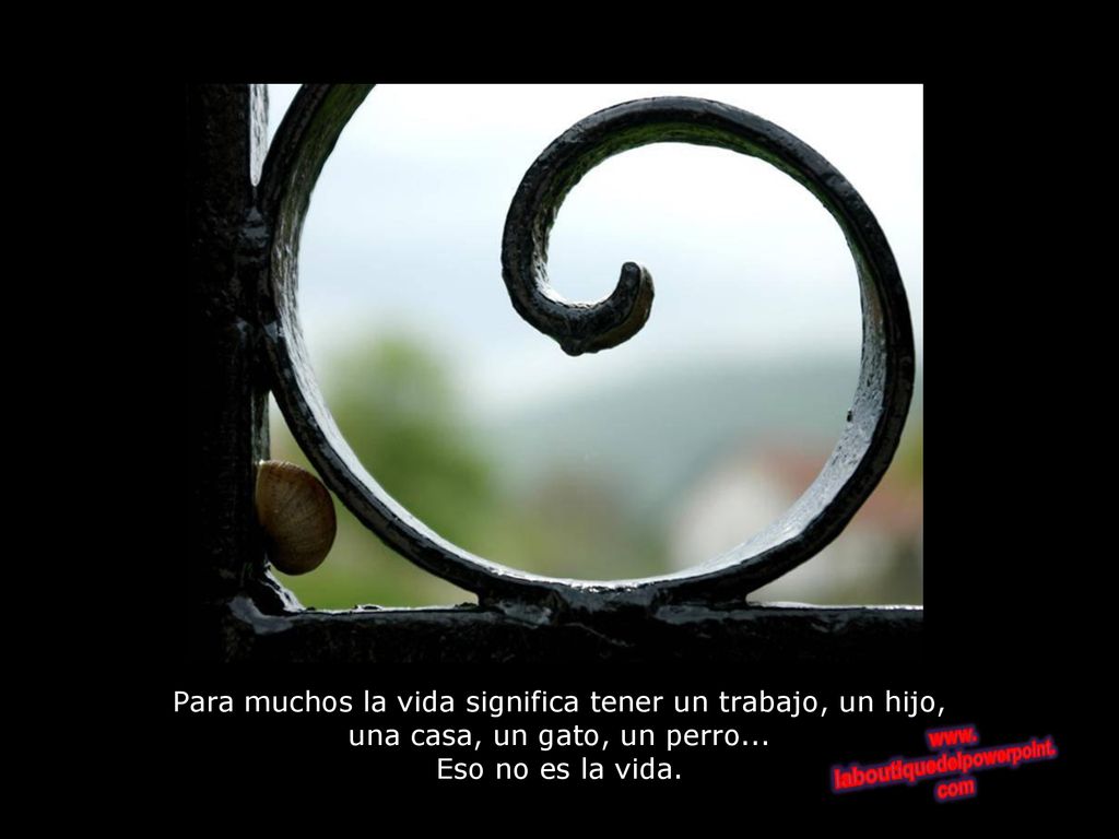 Para muchos la vida significa tener un trabajo, un hijo, una casa, un gato, un perro...