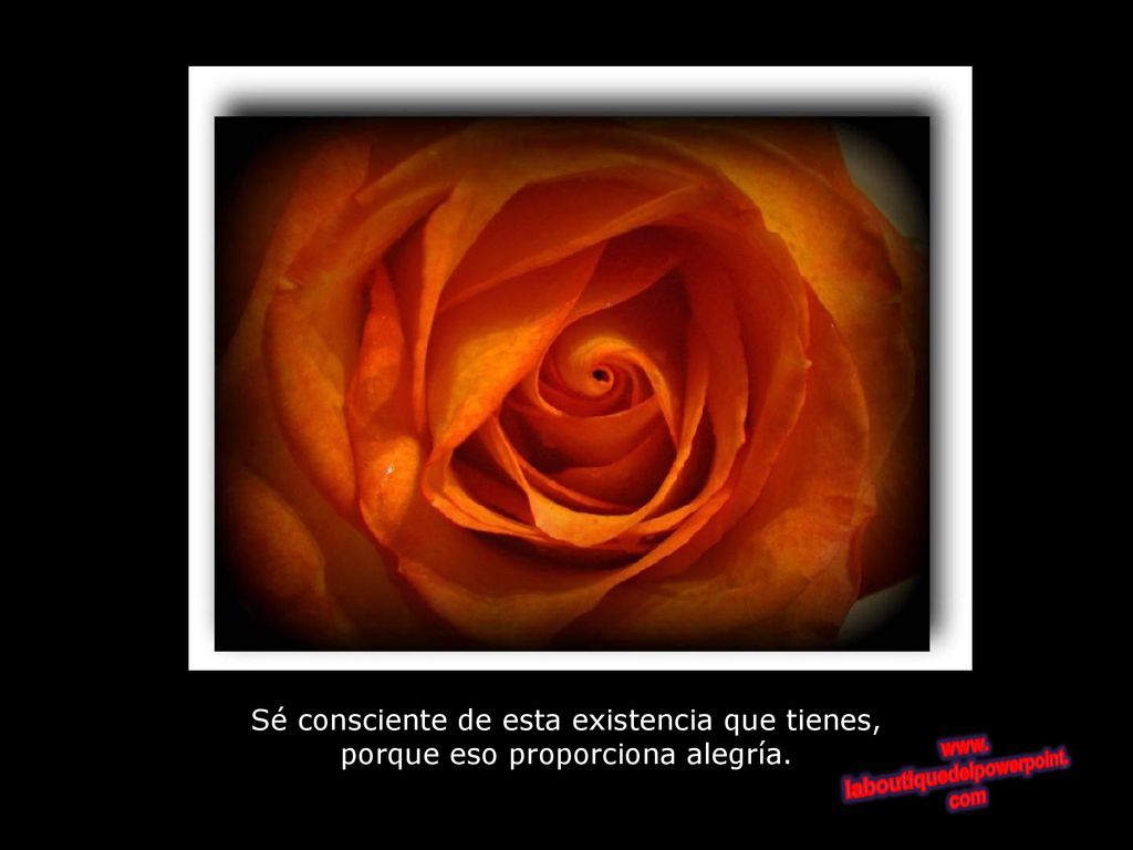 Sé consciente de esta existencia que tienes, porque eso proporciona alegría.