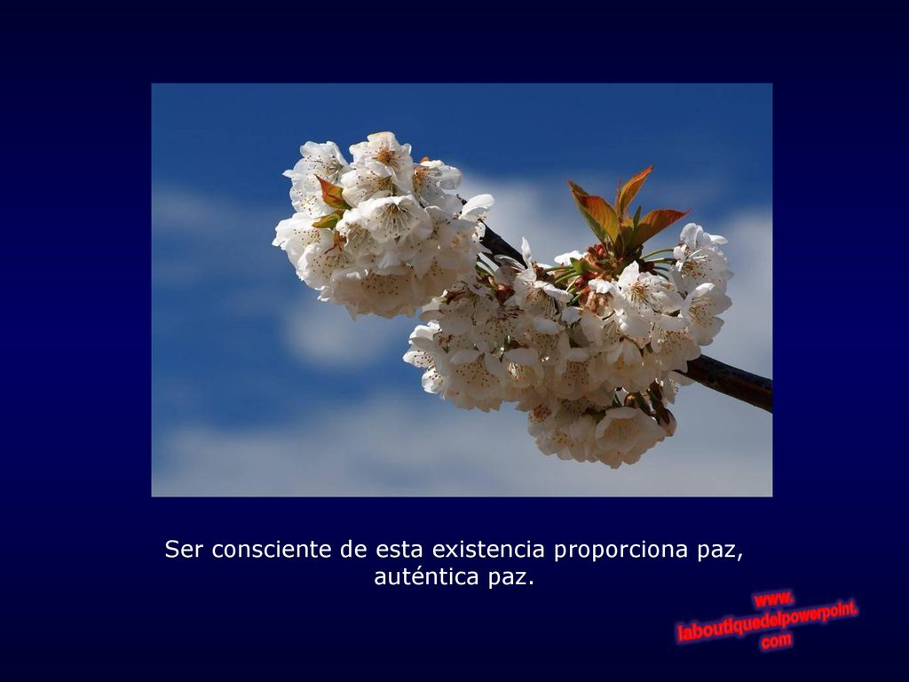 Ser consciente de esta existencia proporciona paz, auténtica paz.