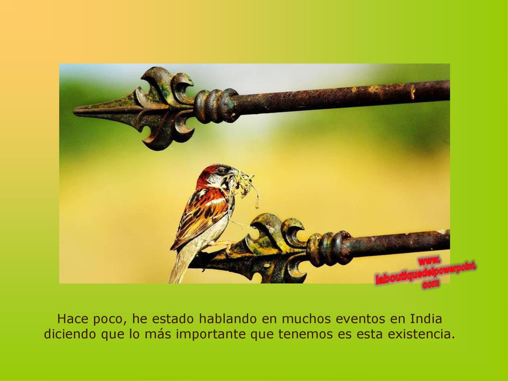 Hace poco, he estado hablando en muchos eventos en India diciendo que lo más importante que tenemos es esta existencia.
