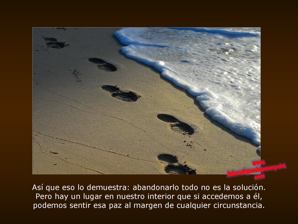 Así que eso lo demuestra: abandonarlo todo no es la solución