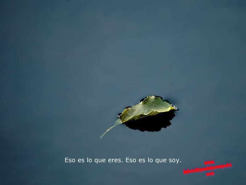 Eso es lo que eres. Eso es lo que soy.