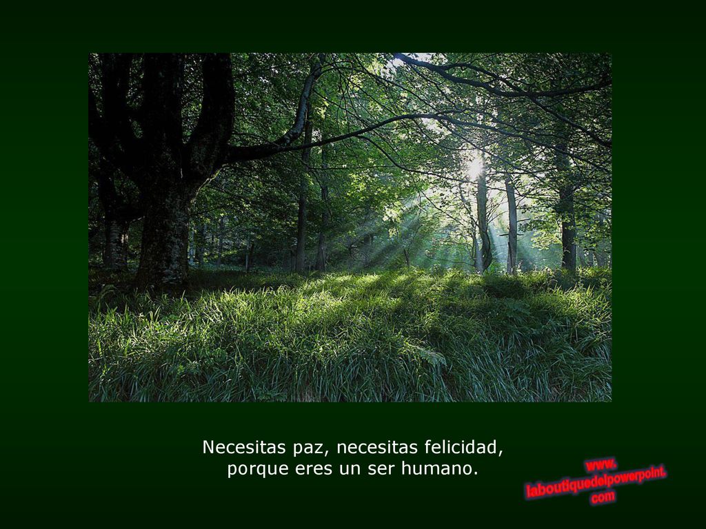 Necesitas paz, necesitas felicidad, porque eres un ser humano.