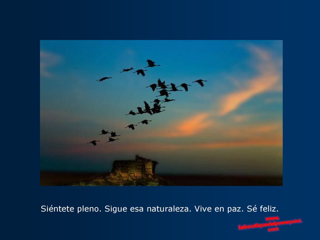 Siéntete pleno. Sigue esa naturaleza. Vive en paz. Sé feliz.