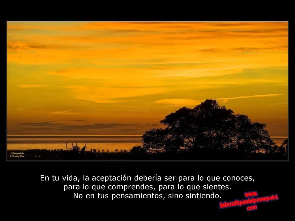 En tu vida, la aceptación debería ser para lo que conoces, para lo que comprendes, para lo que sientes.