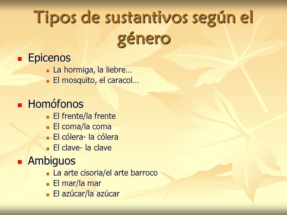 Tipos de sustantivos según el género