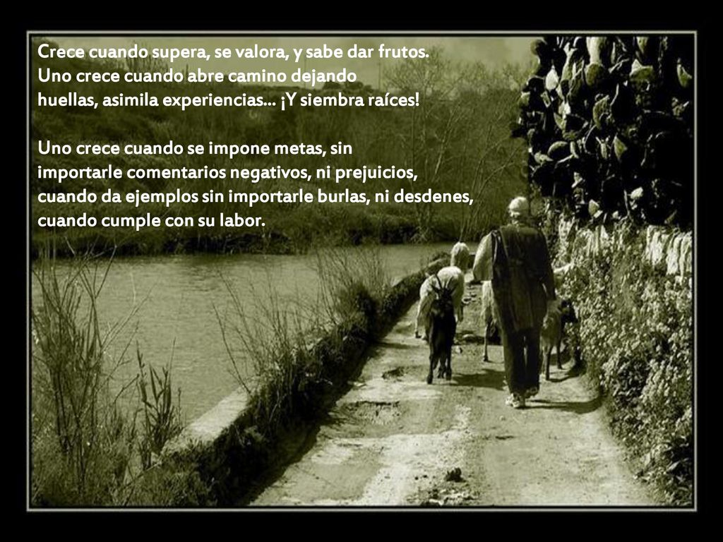 Crece cuando supera, se valora, y sabe dar frutos
