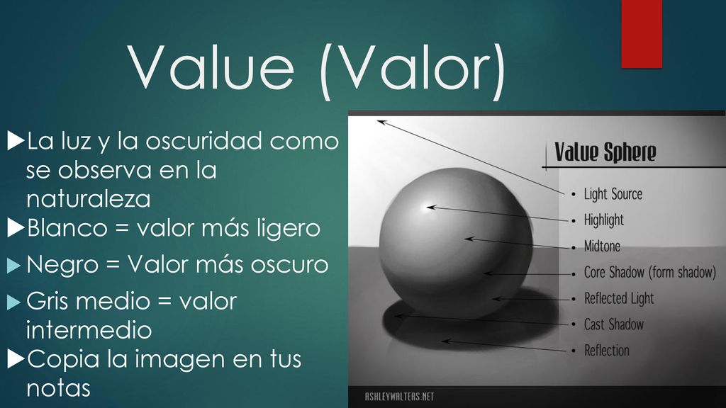 Value (Valor) La luz y la oscuridad como se observa en la naturaleza