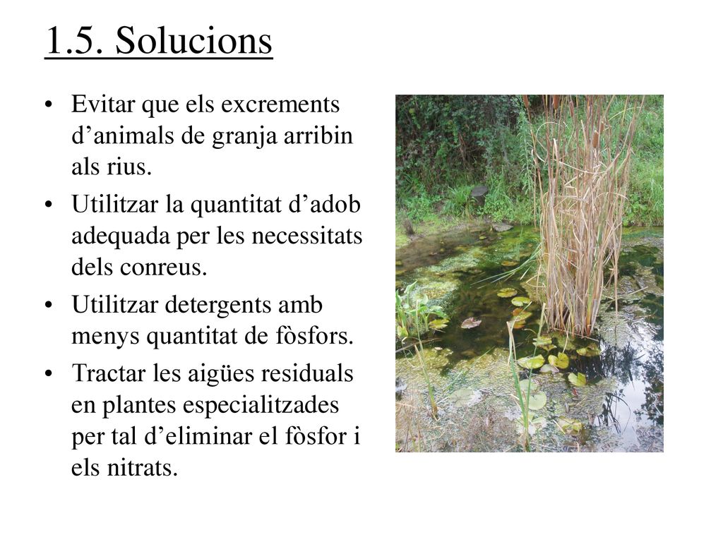 1.5. Solucions Evitar que els excrements d’animals de granja arribin als rius.