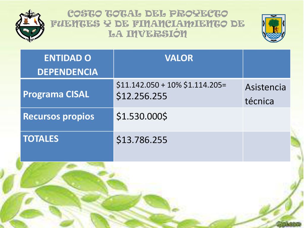 COSTO TOTAL DEL PROYECTO FUENTES Y DE FINANCIAMIENTO DE LA INVERSIÓN