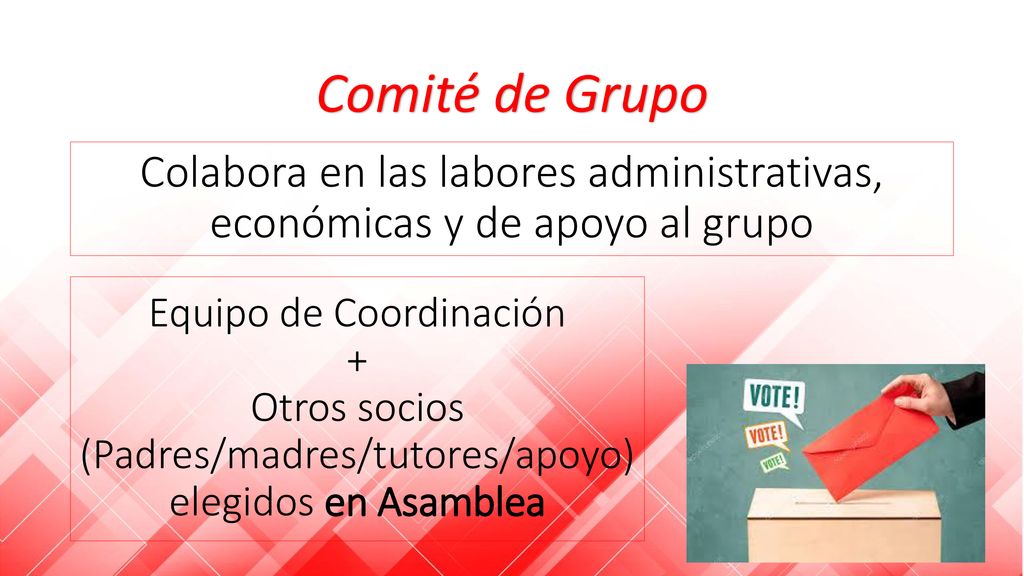 Comité de Grupo Colabora en las labores administrativas, económicas y de apoyo al grupo. Equipo de Coordinación.