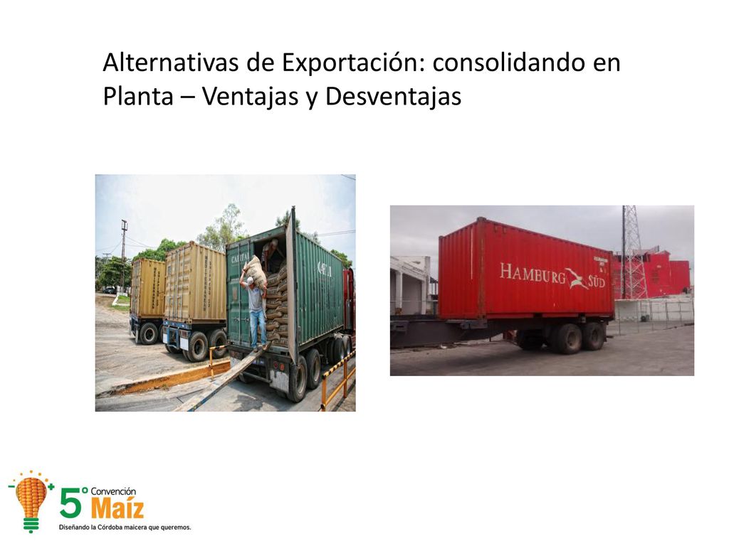 Alternativas de Exportación: consolidando en Planta – Ventajas y Desventajas