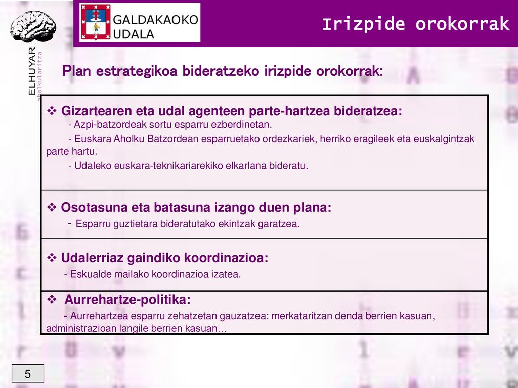 Irizpide orokorrak Plan estrategikoa bideratzeko irizpide orokorrak: