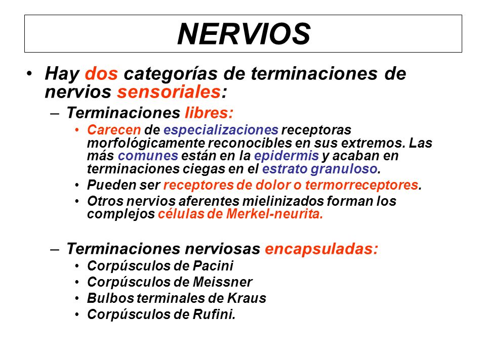 NERVIOS Hay dos categorías de terminaciones de nervios sensoriales: