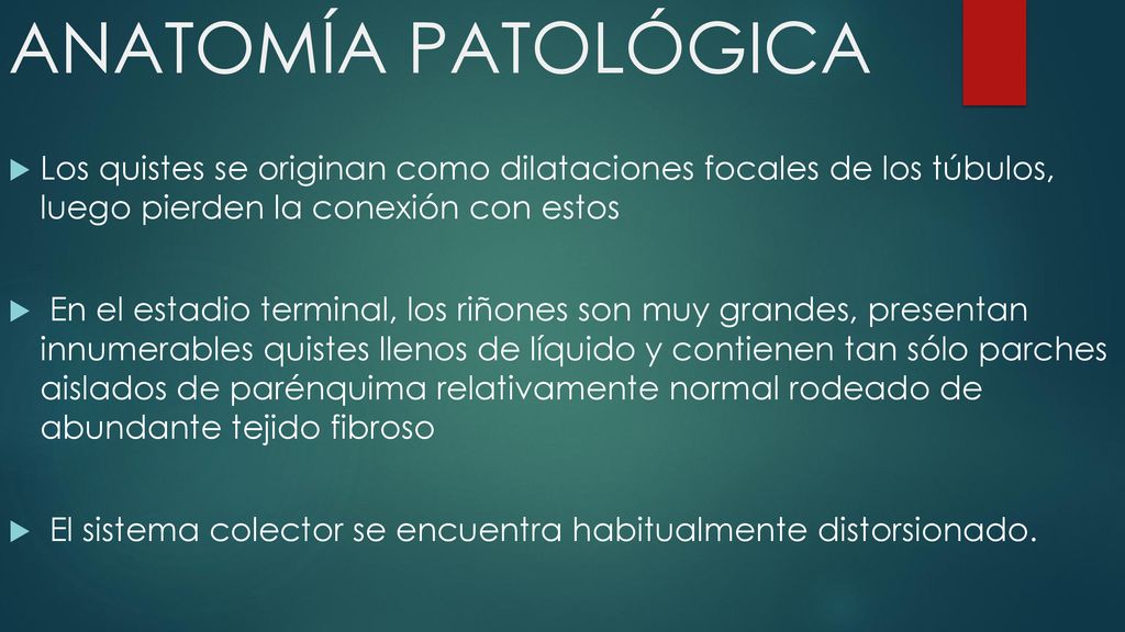ANATOMÍA PATOLÓGICA Los quistes se originan como dilataciones focales de los túbulos, luego pierden la conexión con estos.