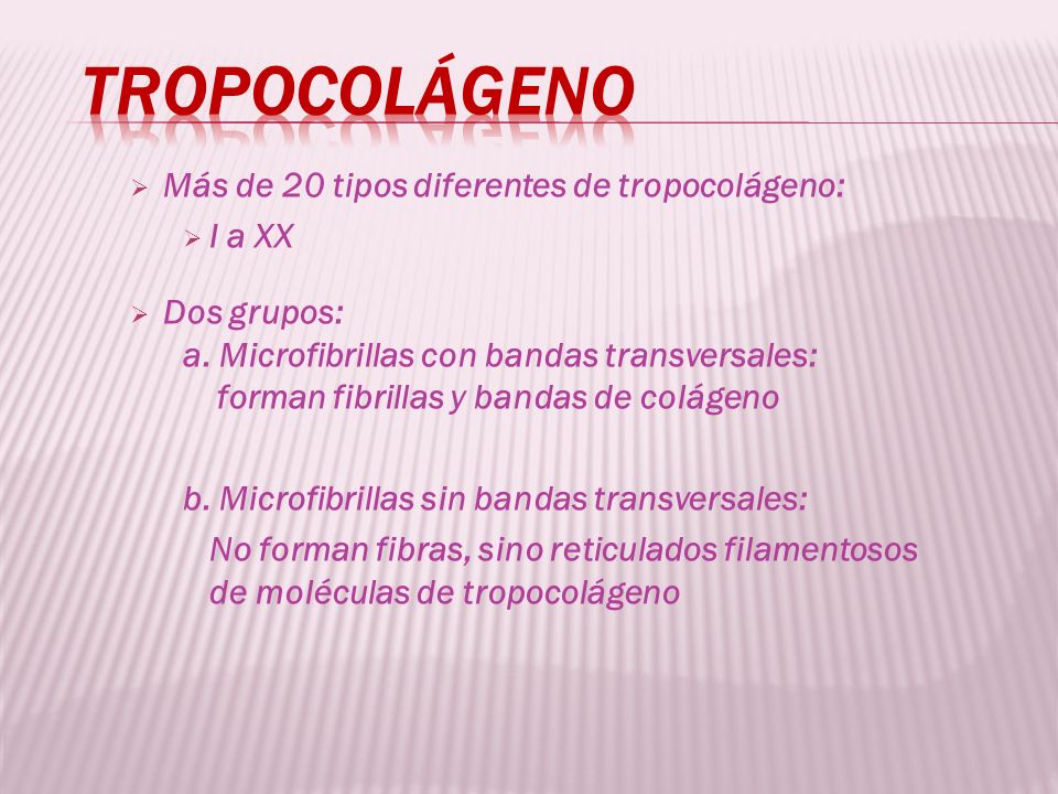 Tropocolágeno Más de 20 tipos diferentes de tropocolágeno: I a XX