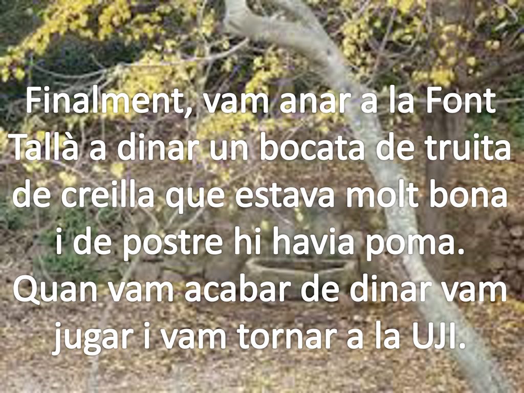 Quan vam acabar de dinar vam jugar i vam tornar a la UJI.