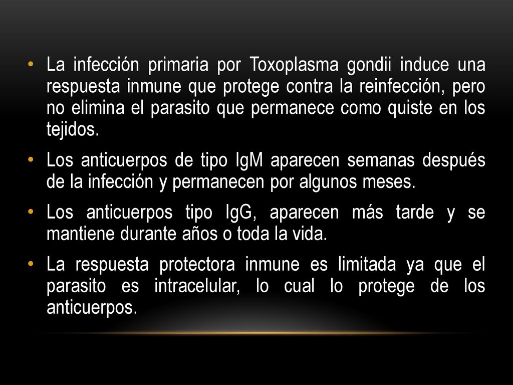 La infección primaria por Toxoplasma gondii induce una respuesta inmune que protege contra la reinfección, pero no elimina el parasito que permanece como quiste en los tejidos.