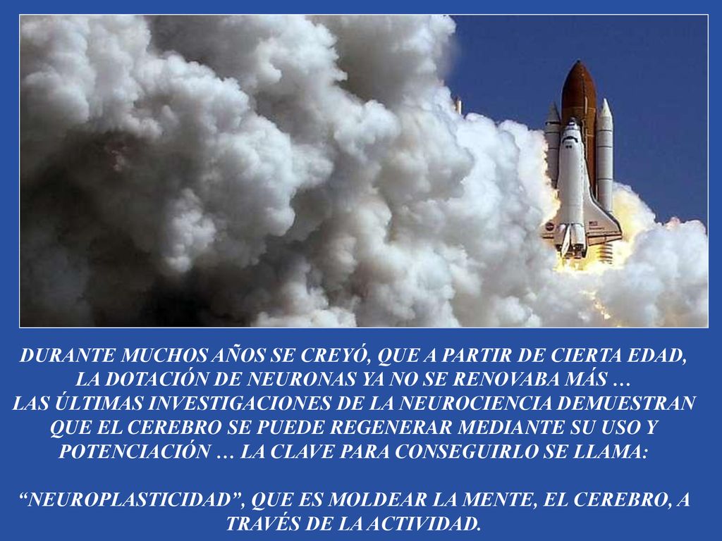DURANTE MUCHOS AÑOS SE CREYÓ, QUE A PARTIR DE CIERTA EDAD, LA DOTACIÓN DE NEURONAS YA NO SE RENOVABA MÁS …