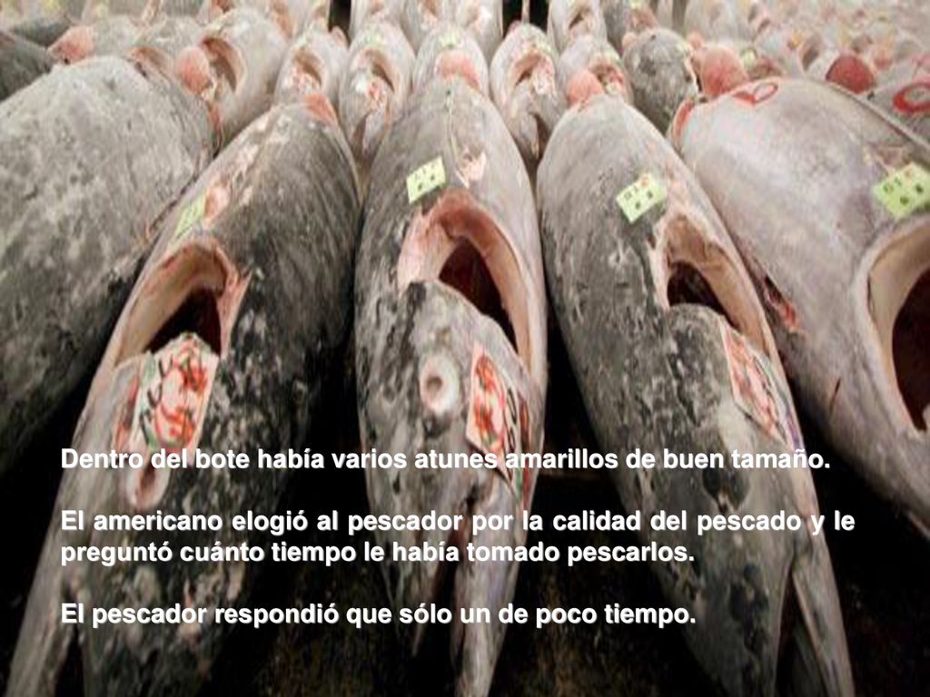 Dentro del bote había varios atunes amarillos de buen tamaño.