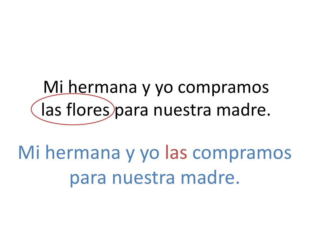 Mi hermana y yo compramos las flores para nuestra madre.